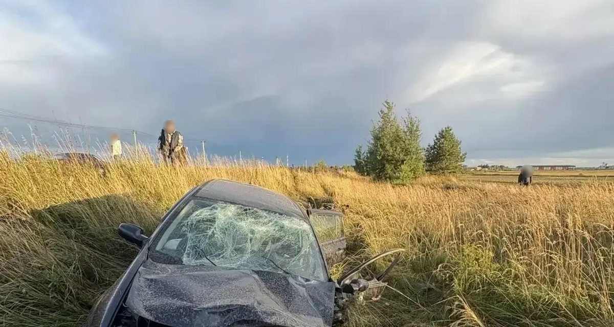 Предположительно пьяный водитель выехал на встречную полосу — пострадали женщина и ребенок