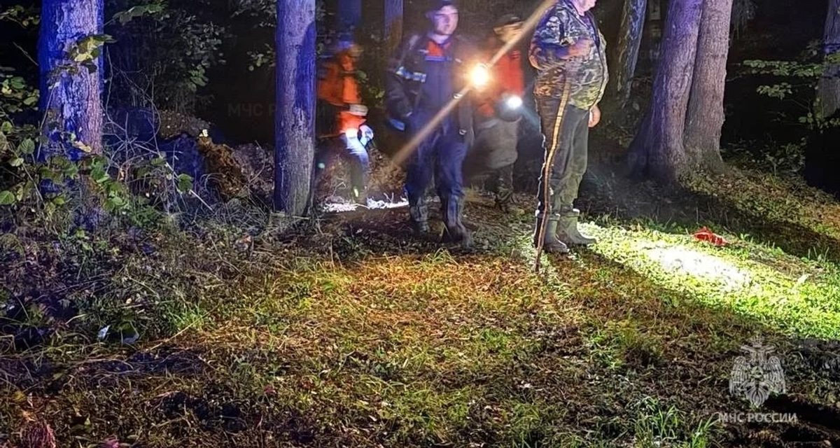 Заблудившегося в лесу пенсионера нашли около полуночи после нескольких часов поисков