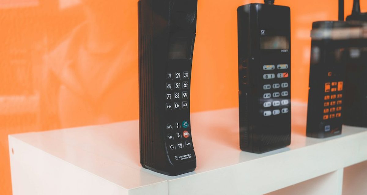Житель Алтайского края снял квартиру в Голубом и поставил там SIM-боксы для звонков мошенников