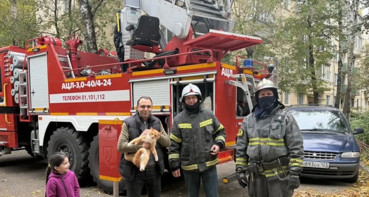 В Красногорске кот Василий несколько часов ждал пожарных на высоте третьего этажа